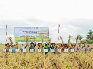 BI Sumut: Produksi Gabah Kering Meningkat