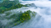 Kabut Asap dan Kekeringan Jadi Tanda Kiamat, Benarkah?