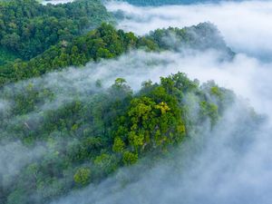 Kabut Asap dan Kekeringan Jadi Tanda Kiamat, Benarkah?
