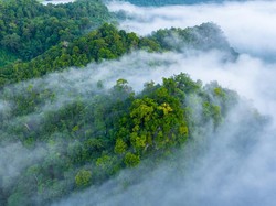 Kabut Asap dan Kekeringan Jadi Tanda Kiamat, Benarkah?