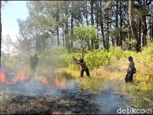 3 Titik Hutan Kawasan TNBTS Terbakar Berhasil Dipadamkan, 2 Masih Menyala