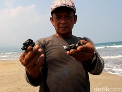 Gubernur Lampung Mau Lapor Presiden, Kesal Limbah Minyak Penuhi Pantai Wisata