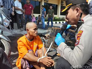 Pencuri Kepiting Bakau di Bengkulu Ditangkap, Sekali Beraksi Raup Cuan Rp 3,7 Juta Pencuri Kepiting Bakau di Bengkulu Ditangkap, Sekali Beraksi Raup Cuan Rp 3,7 Juta