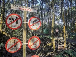 Konservasi Adalah? Ini Pengertian, Tujuan, Manfaat, Hingga Contohnya