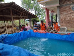 Kekeringan Mulai Terjadi di Trenggalek, 2 Desa Minta Dropping Air Bersih