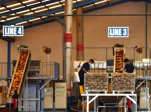 Pendapatan Nasional: Pengertian, Konsep, Manfaat, dan Metode Penghitungan