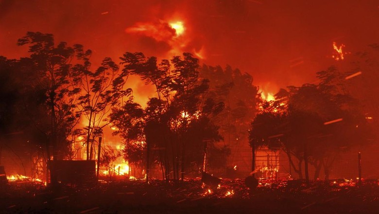Hari Ke-10 Pemadaman Kebakaran Lahan Gambut di Riau