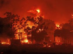 Horor Api Merah Membara Membakar Hutan di Yunani