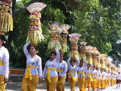 Warga Desa Adat Kukuh Gelar Tradisi Ngerebeg di Alas Kedaton