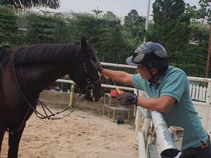 Hobi Berkuda, Pria Ini Dirikan Istana Stable di Majalengka Hobi Berkuda, Pria Ini Dirikan Istana Stable di Majalengka