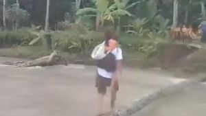Momen Murid SD di Nias Selatan Menyeberangi Sungai