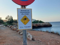 Pantai Ini Pasang Peringatan Palsu, Biar Turis Ogah Datang