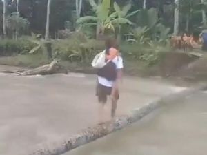 Viral Anak SD di Nias Selatan Seberangi Sungai Pakai Pohon Kayu