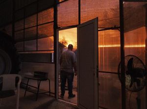 Was-was Warga Yunani Terkepung Kebakaran Hutan