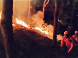 Hutan di Kawasan Arak-arak Bondowoso Terbakar