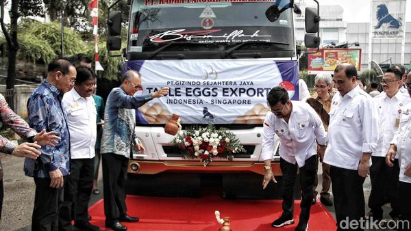 Indonesia Ekspor Telur Ayam Konsumsi ke Singapura