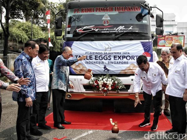 Indonesia Ekspor Telur Ayam Konsumsi ke Singapura