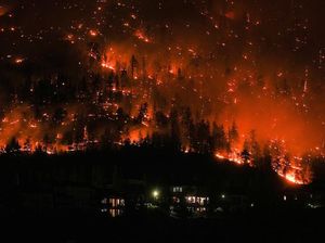 Kanada Alami Kebakaran Hutan Terburuk, Ini Alasan Mengapa Kita Harus Peduli Kanada Alami Kebakaran Hutan Terburuk, Ini Alasan Mengapa Kita Harus Peduli