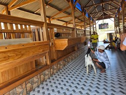 Warga Sering Nonton Wayang dan Karaoke di Kandang Kambing Mewah Tuban