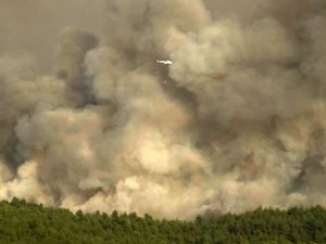 Giliran Turki yang Dilanda Kebakaran Hutan, Ini Penampakannya