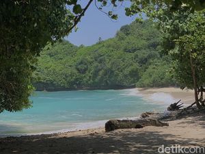 Eksplorasi yang Memukau Mata di Malang Selatan, Pantai Teluk Asmara