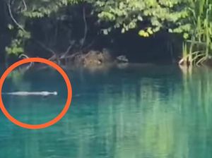 Danau Labuan Cermin yang Cantik Itu Dihantui Penampakan Buaya Danau Labuan Cermin yang Cantik Itu Dihantui Penampakan Buaya
