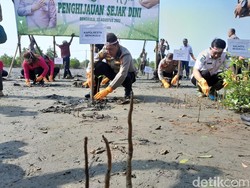 Hutan Mangrove Mulai Gundul, Polresta Bengkulu Ajak Warga Tanam 5.000 Mangrove