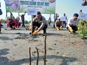 Hutan Mangrove Mulai Gundul, Polresta Bengkulu Ajak Warga Tanam 5.000 Mangrove Hutan Mangrove Mulai Gundul, Polresta Bengkulu Ajak Warga Tanam 5.000 Mangrove