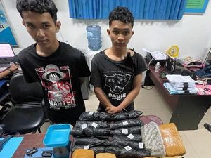 BNN Jambi Tangkap 2 Pengedar, Sita 8 Kg Ganja BNN Jambi Tangkap 2 Pengedar, Sita 8 Kg Ganja