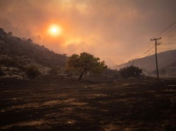 Yunani Potensi Alami Gelombang Panas, Suhu Bisa Capai 43 Derajat Celsius