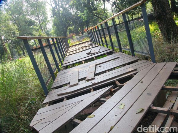 Waduh! Jembatan Kayu Tebet Eco Park Rusak Parah