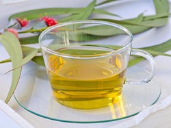 Manfaat Teh Putih yang Kaya Antioksidan bagi Tubuh