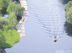 19 Orang Jadi Tersangka Kasus Illegal Logging dan Perambahan Hutan di Riau