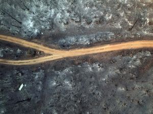 Desa di Yunani Ini jadi Tandus Gegara Kebakaran Hutan