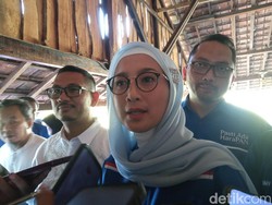 Desy Ratnasari Dapat Restu Zulhas Maju ke Pilkada