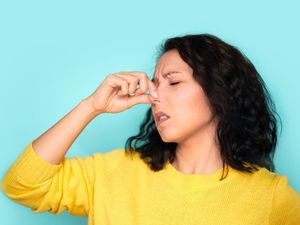 Pilek dan Hidung Tersumbat? Atasi dengan Konsumsi 5 Makanan Enak Ini Pilek dan Hidung Tersumbat? Atasi dengan Konsumsi 5 Makanan Enak Ini