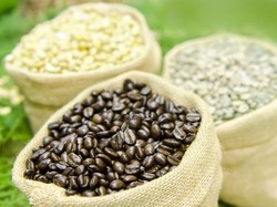 Kopi Kedelai Bisa Jadi Alternatif Kopi Sehat, Ini Faktanya