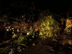 Jalan Blangkejeren-Takengon Aceh Tertimbun Longsor, Lalin Lumpuh Total