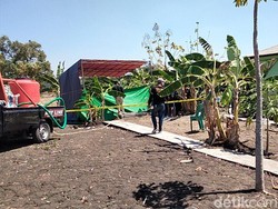 Dua Pengeroyok yang Tewaskan Kuli Panggul Senggol Payudara Jadi DPO