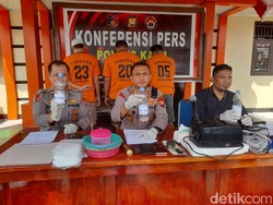 Penjual-Pengepul Baby Lobster di Kaur Ditangkap, Ribuan Benur Disita