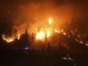 Ngeri! Ilmuwan Temukan Kandungan Logam Penyebab Kanker pada Abu Kebakaran Hutan