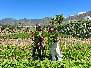 Siswi Jakarta Intercultural School Gagas Irigasi Tenaga Surya di Wonogiri