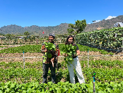 Siswi Jakarta Intercultural School Inisiasi Smart Irrigation di Wonogiri