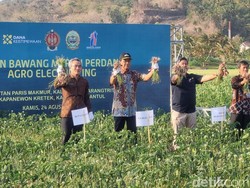 Agro Electrifying Diklaim Genjot Produksi Bawang Merah di Bantul