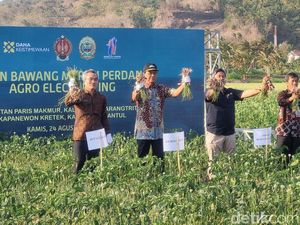 Agro Electrifying Diklaim Genjot Produksi Bawang Merah di Bantul Agro Electrifying Diklaim Genjot Produksi Bawang Merah di Bantul