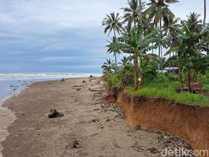 Gawat! Jalan Negara di Bengkulu Terancam Hilang karena Abrasi