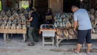 Mengintip Tempat Penjualan Oleh-oleh Ikan Kering dari Banggai Sulteng