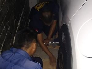 Anjing Peliharan di Bogor Terjepit Ban Mobil, Damkar Turun Tangan