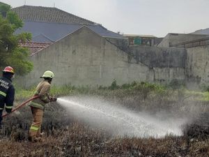 Kebakaran Lahan di Bogor Naik, Damkar Minta Warga Tak Asal Bakar Sampah