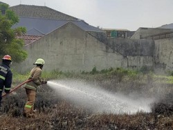 Kebakaran Lahan di Bogor Naik, Damkar Minta Warga Tak Asal Bakar Sampah